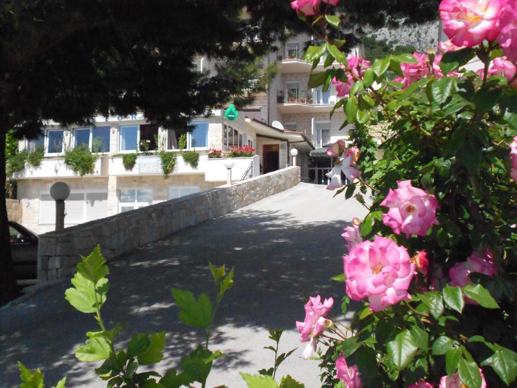 Pansion Komfor Moca Μακάρσκα Εξωτερικό φωτογραφία